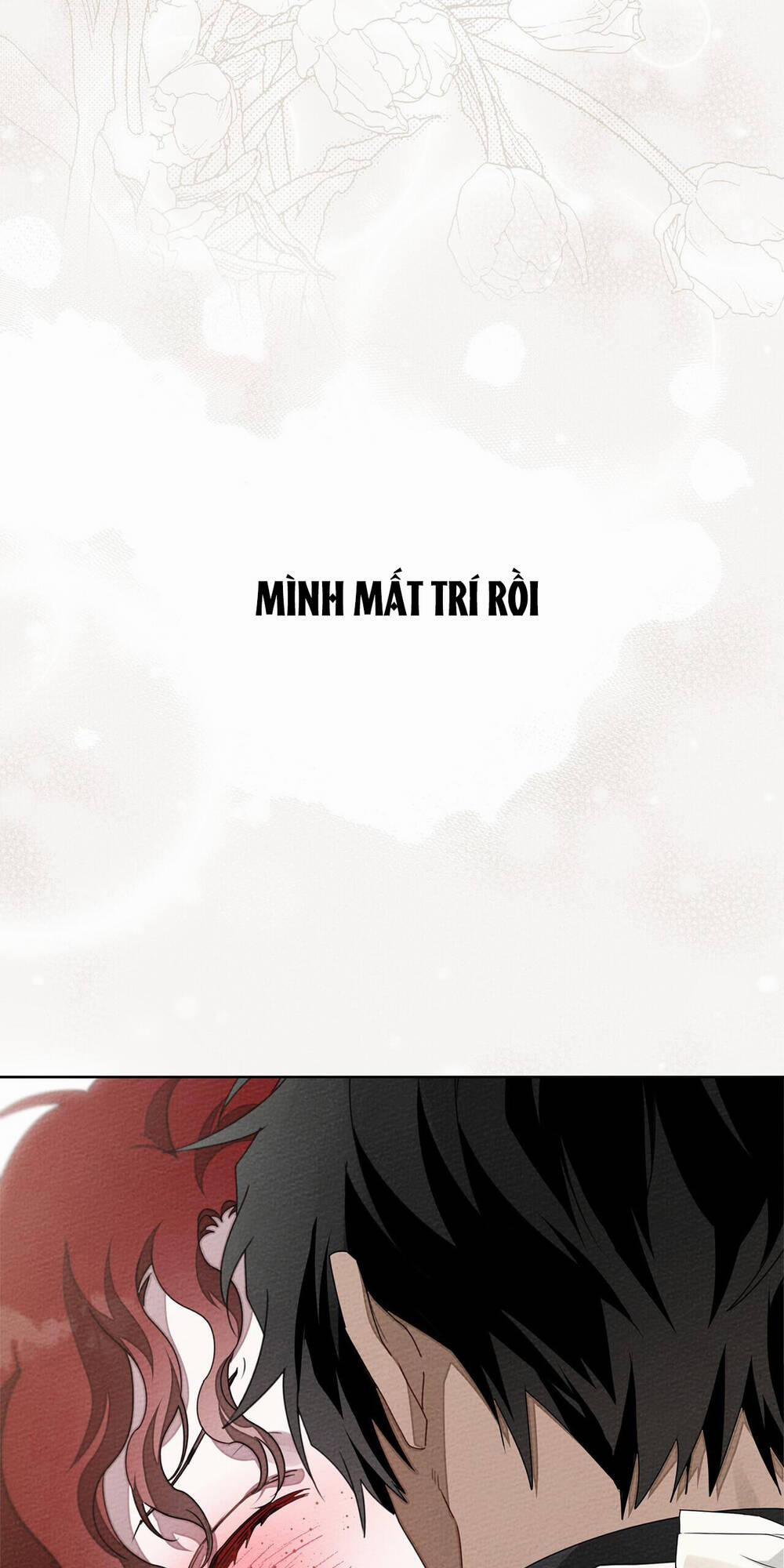 Dưới Bóng Cây Sồi 76.2 trang 1