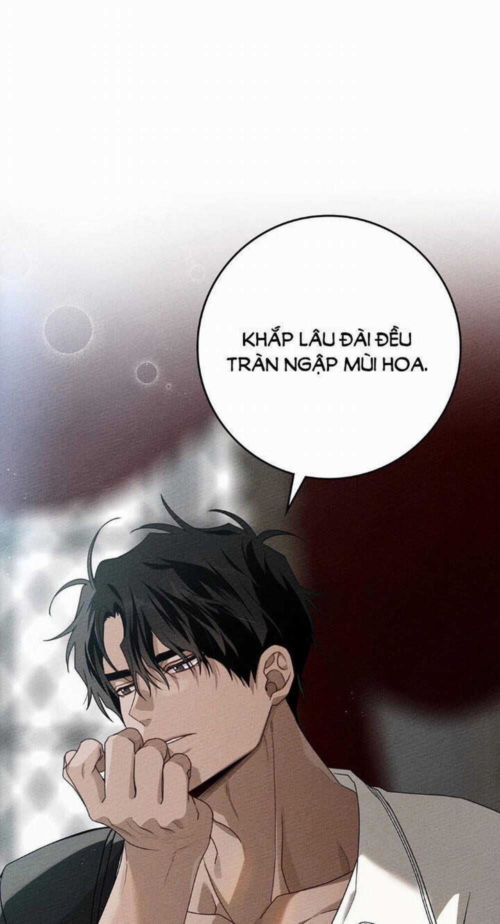 Dưới Bóng Cây Sồi 78 trang 0