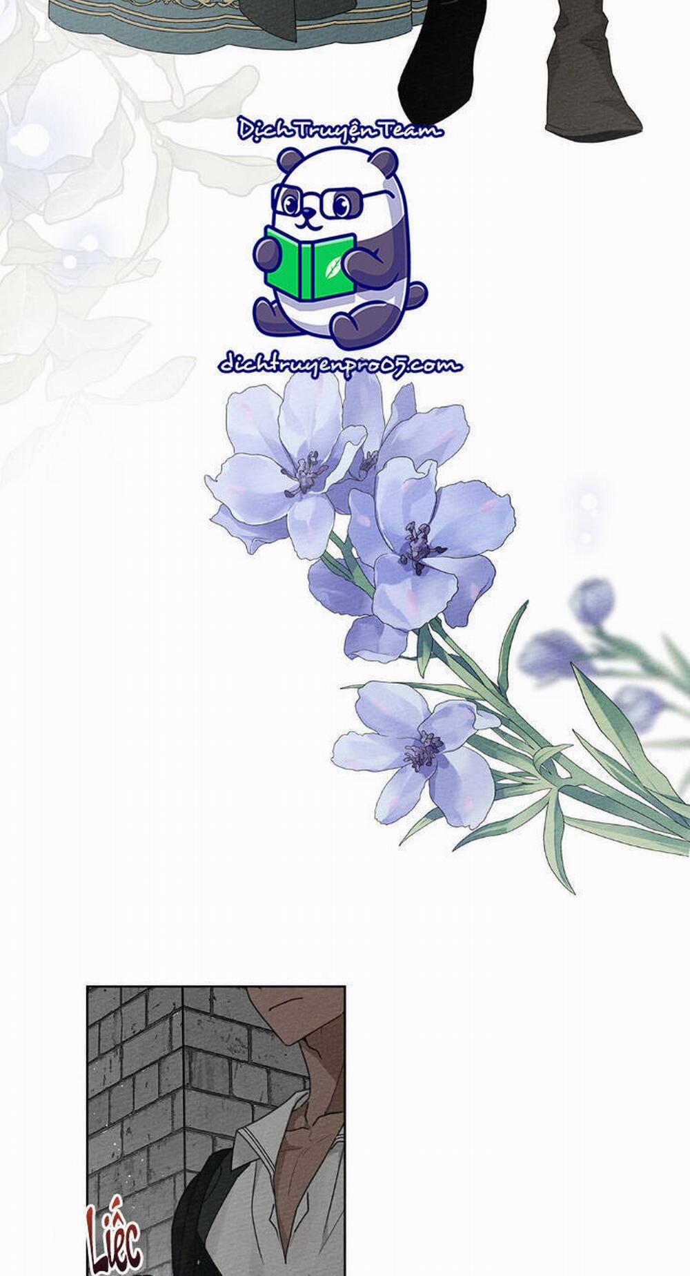 Dưới Bóng Cây Sồi 78 trang 28