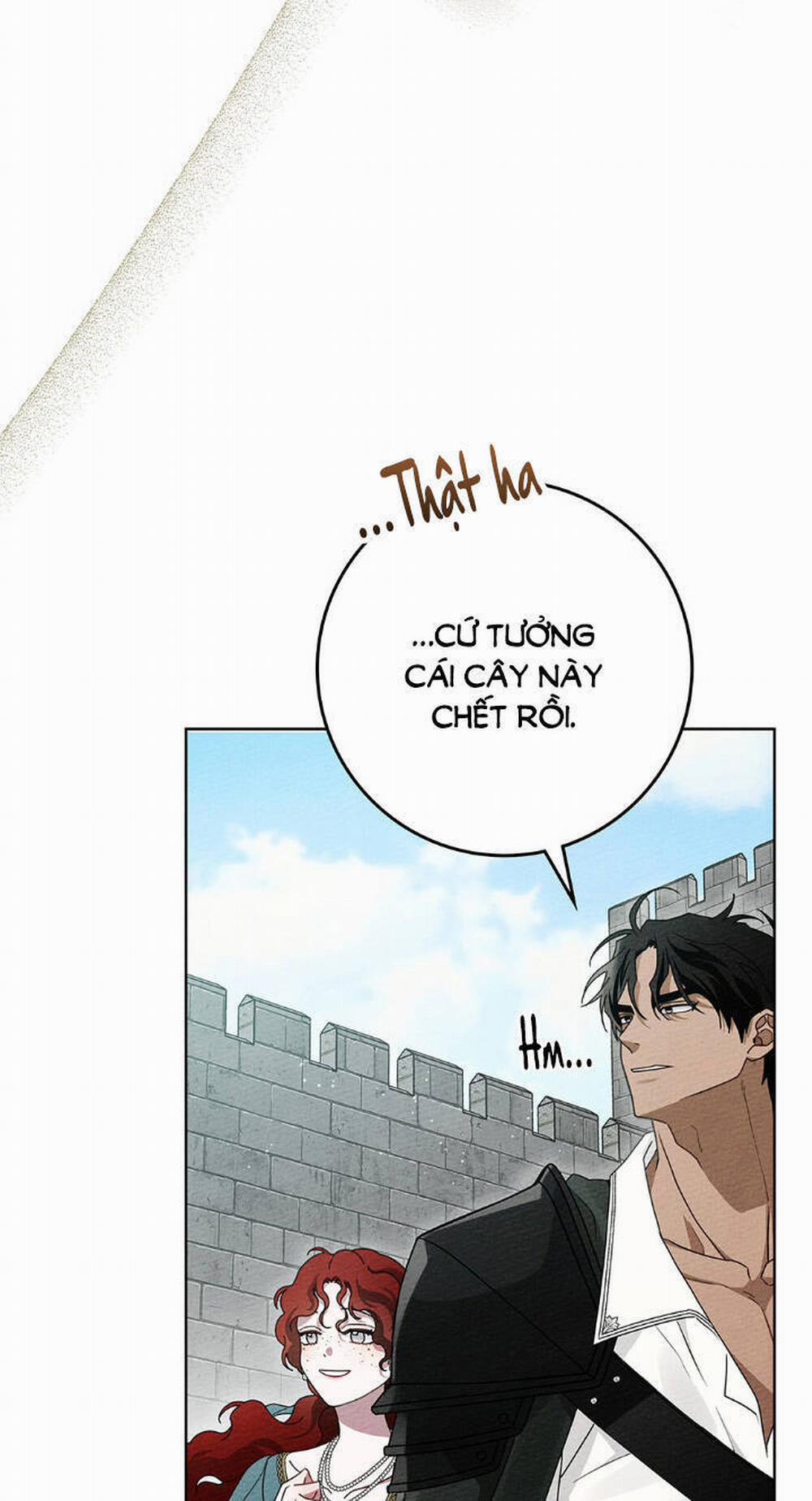 Dưới Bóng Cây Sồi 78 trang 34