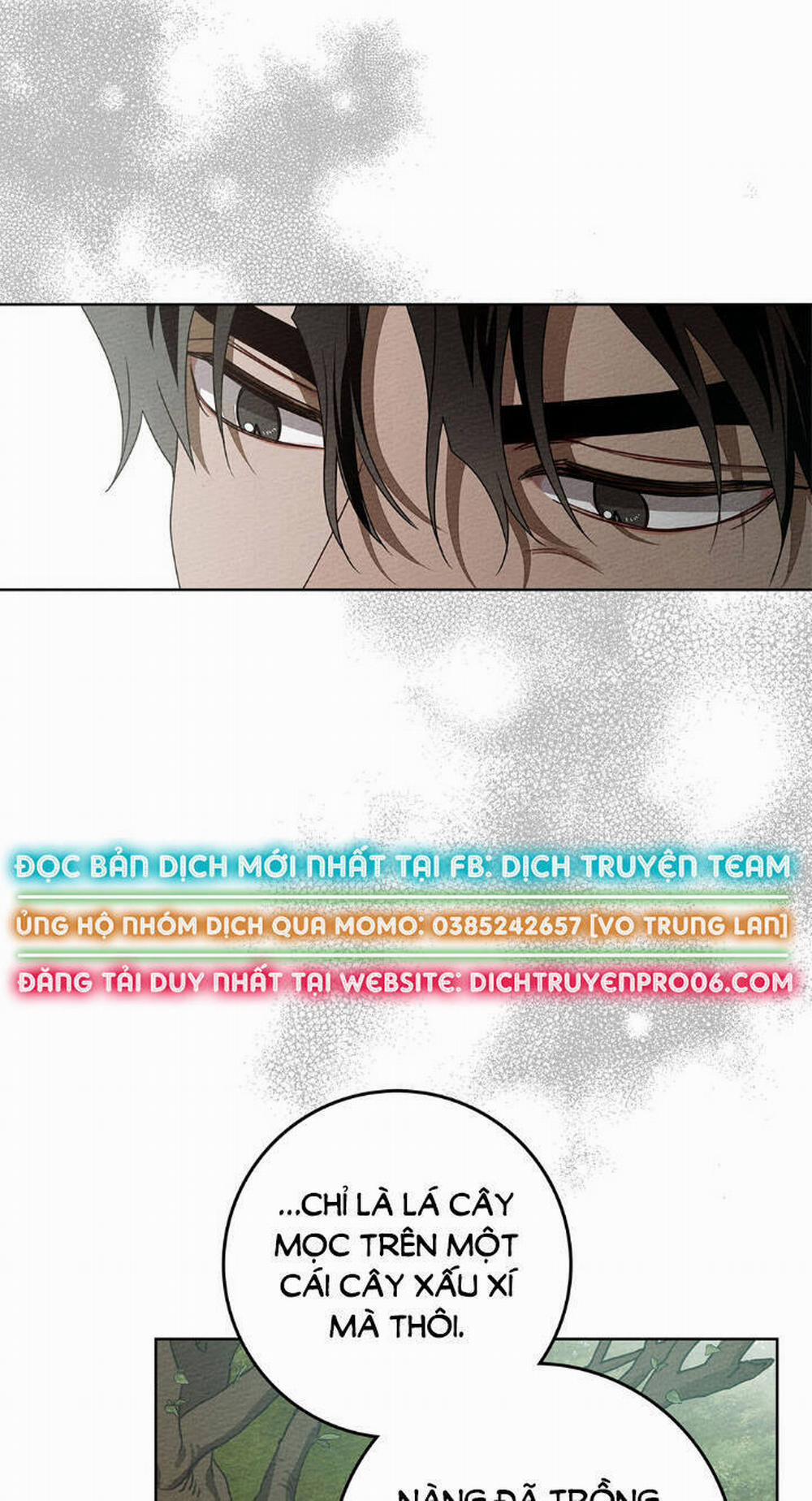 Dưới Bóng Cây Sồi 78 trang 38