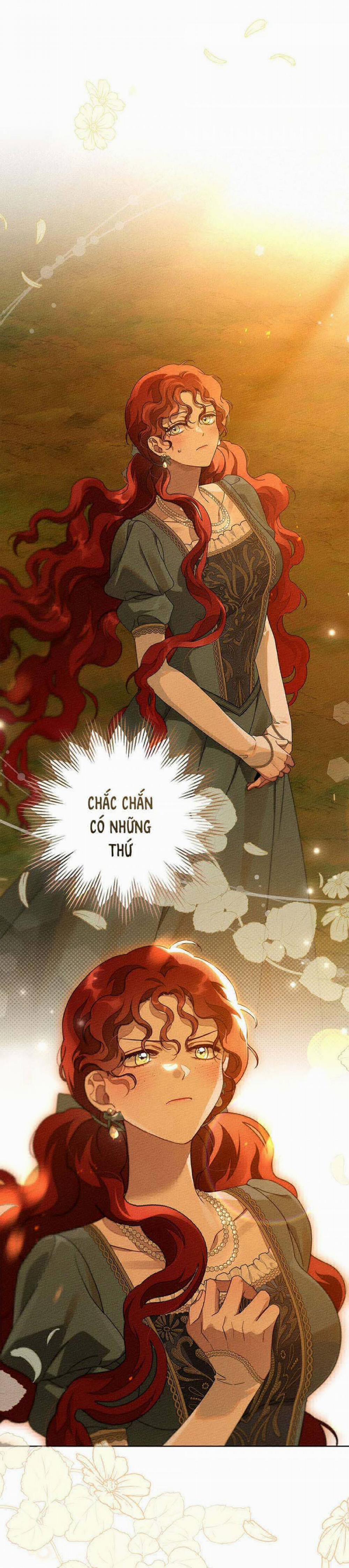 Dưới Bóng Cây Sồi 80 trang 15