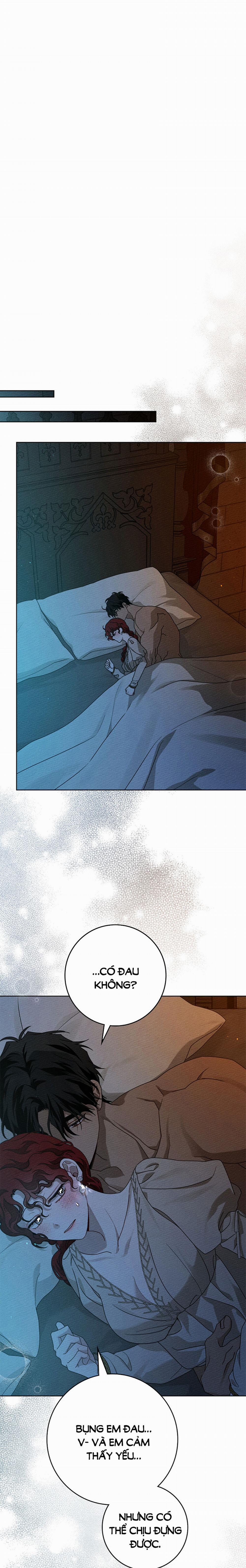 Dưới Bóng Cây Sồi 88.2 trang 0