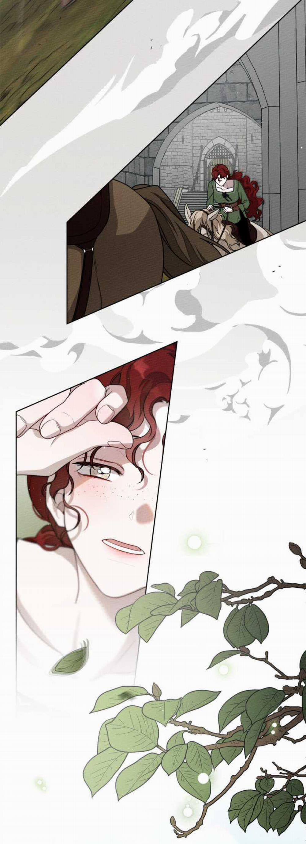 Dưới Bóng Cây Sồi 95.2 trang 42