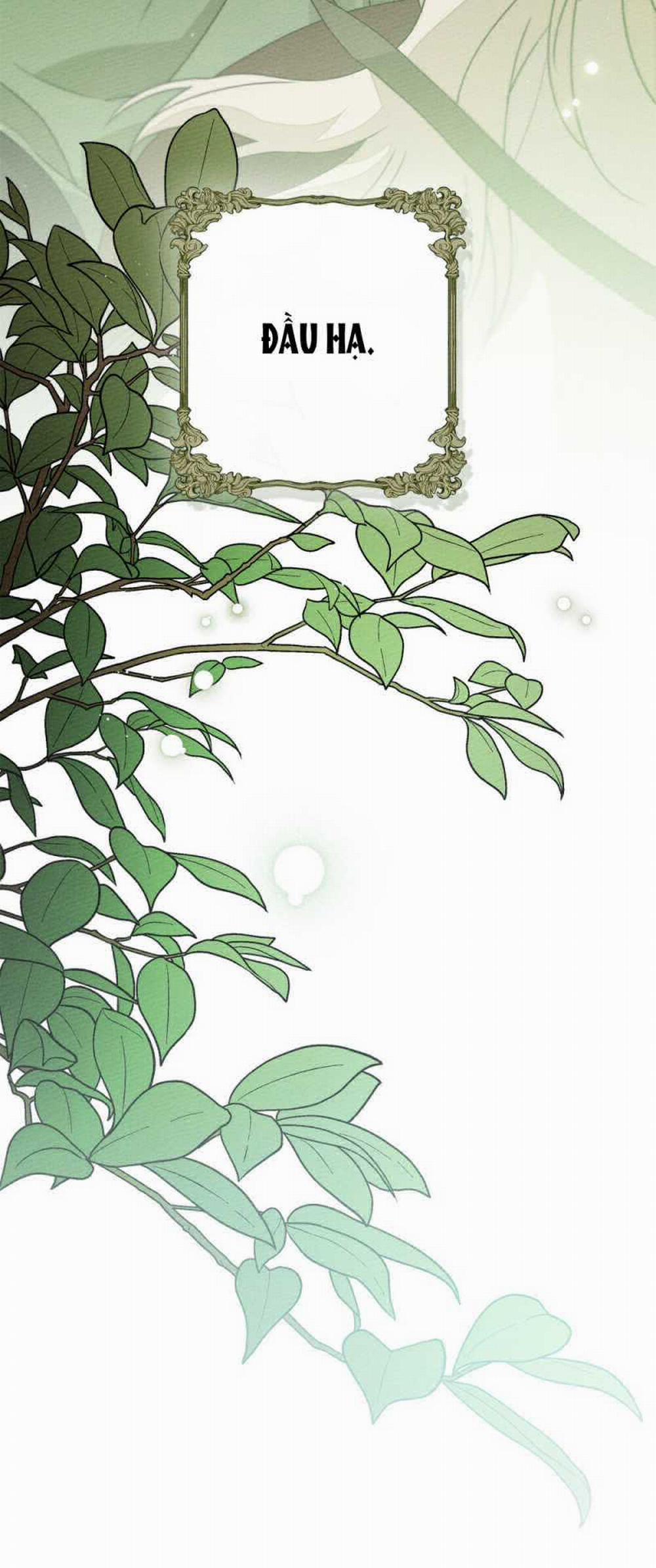 Dưới Bóng Cây Sồi 95.2 trang 44