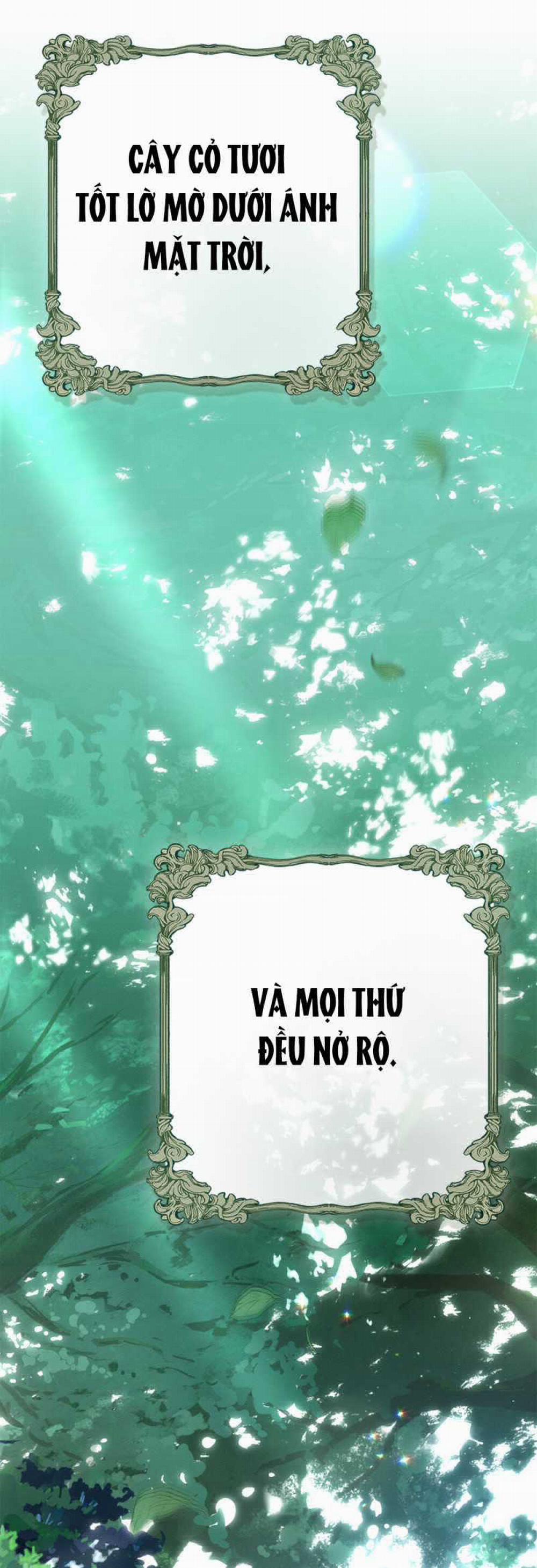 Dưới Bóng Cây Sồi 95.2 trang 45