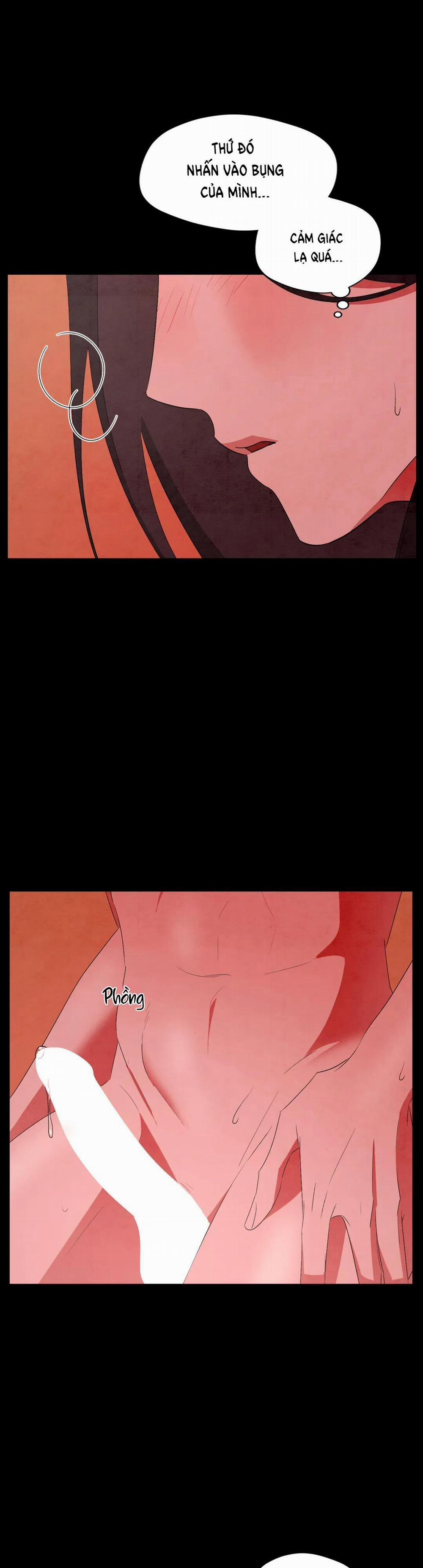 Dưới Đáy Biển Xanh 25 trang 12