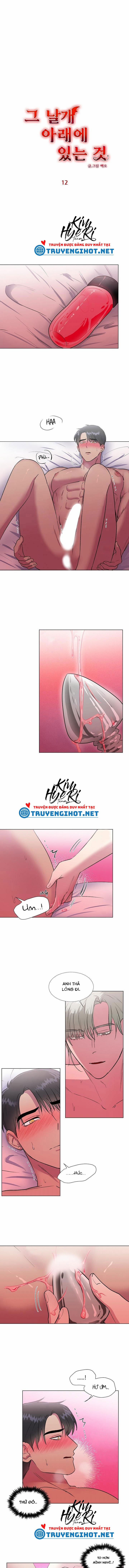 Dưới Đôi Cánh Ấy 12.1 trang 1