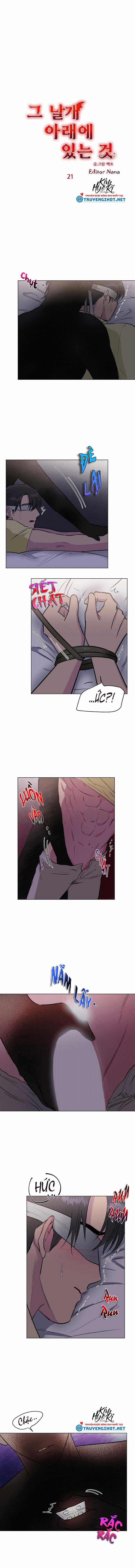 Dưới Đôi Cánh Ấy 21.1 trang 0