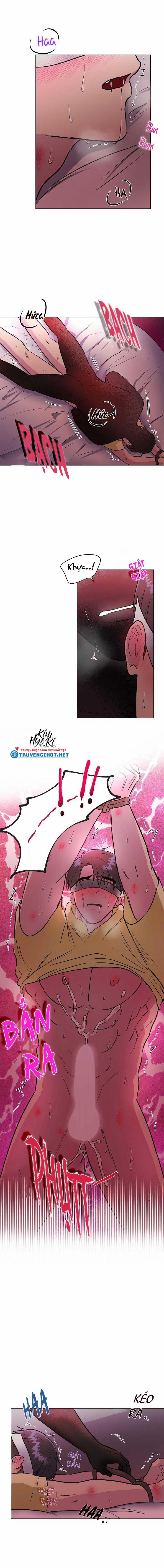 Dưới Đôi Cánh Ấy 21.3 trang 1