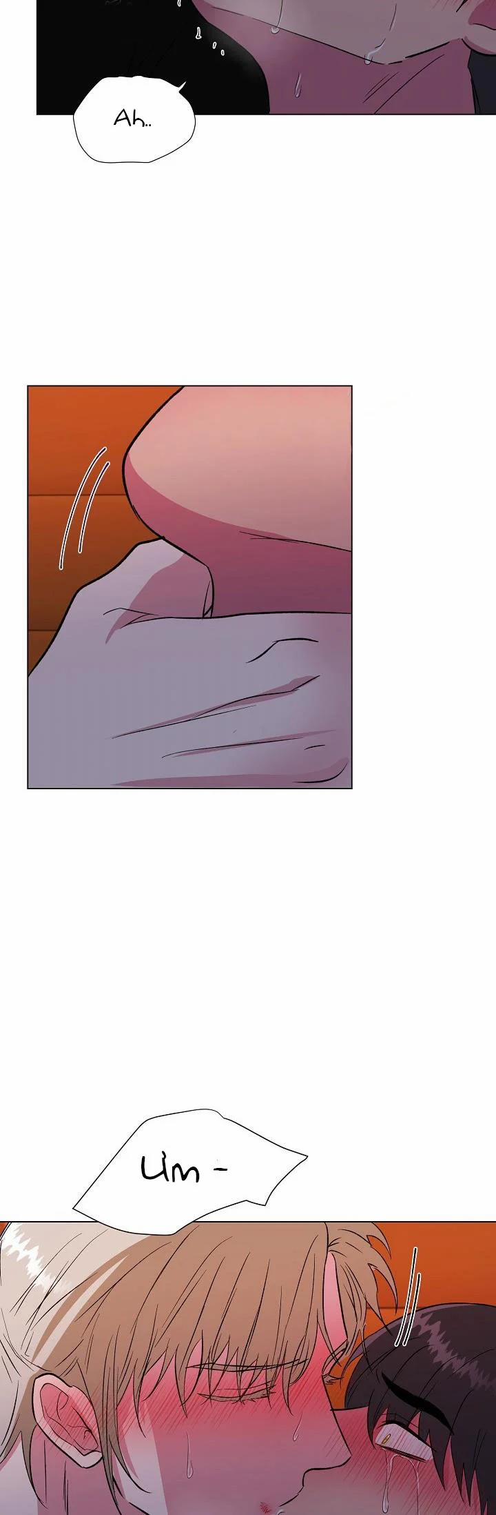 Dưới Đôi Cánh Ấy 28.1 trang 16