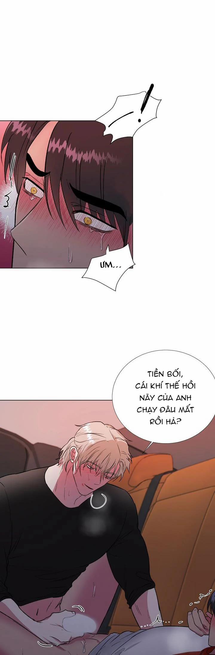 Dưới Đôi Cánh Ấy 28.1 trang 5