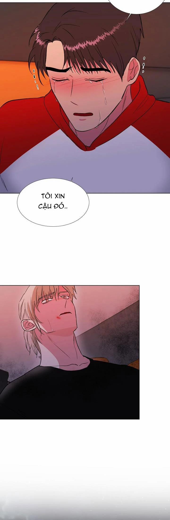 Dưới Đôi Cánh Ấy 28.2 trang 16