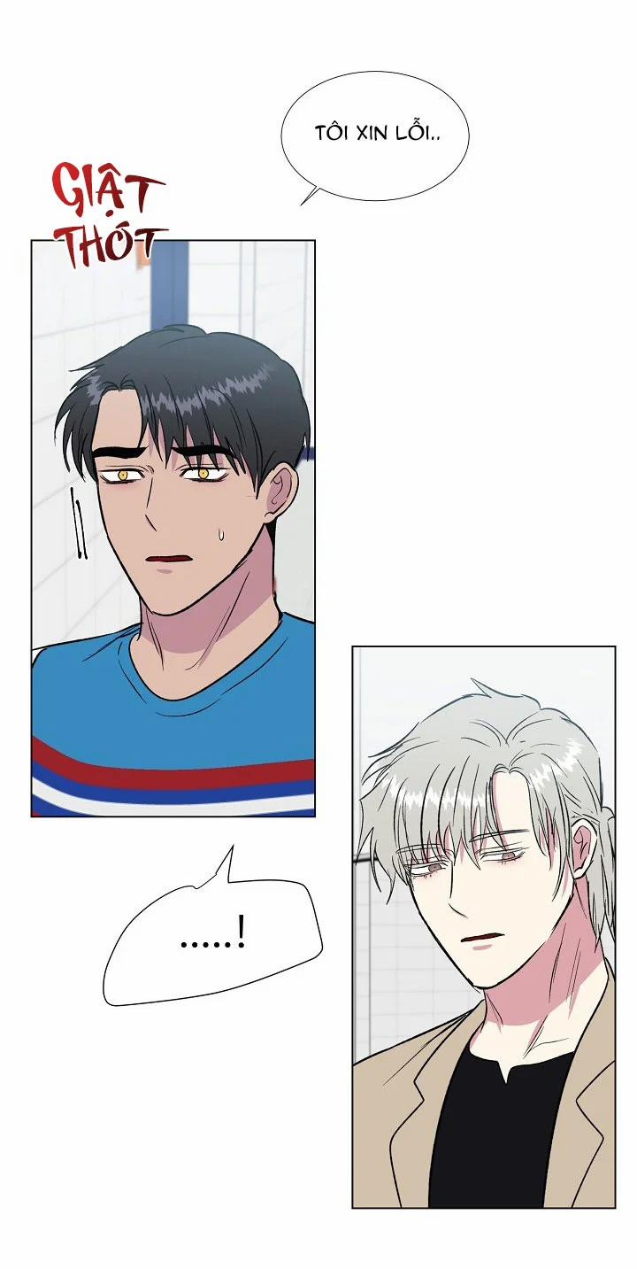 Dưới Đôi Cánh Ấy 31 trang 29