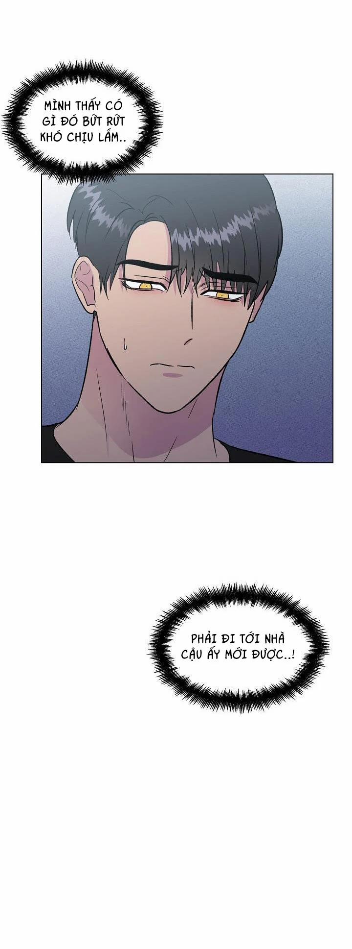 Dưới Đôi Cánh Ấy 36 trang 12