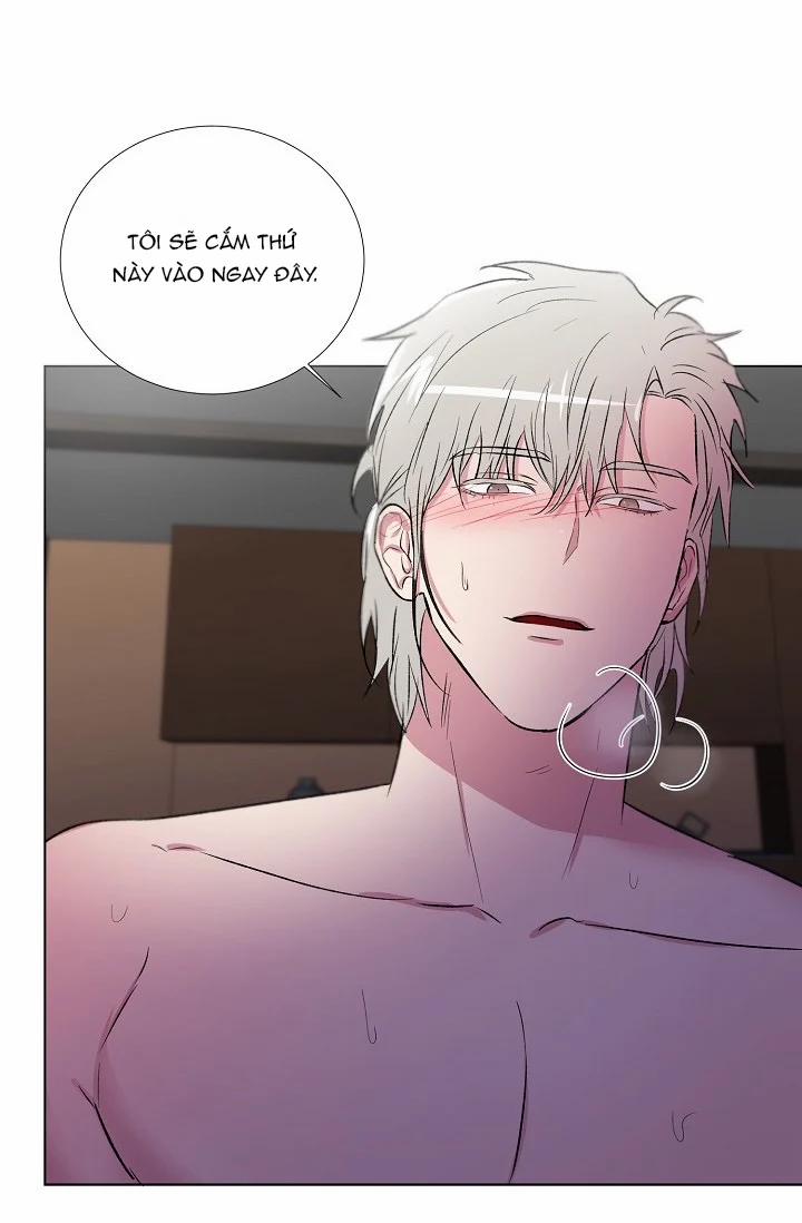 Dưới Đôi Cánh Ấy 7.1 trang 24