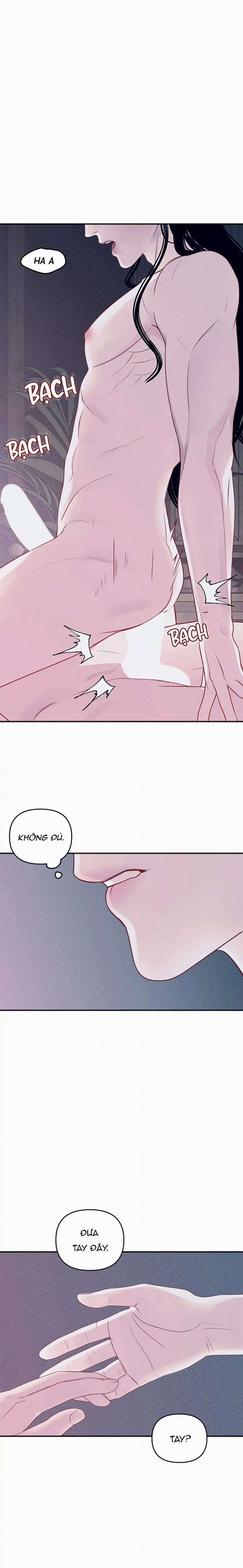 Dưới Lớp Vỏ Đen Tối 6 trang 17