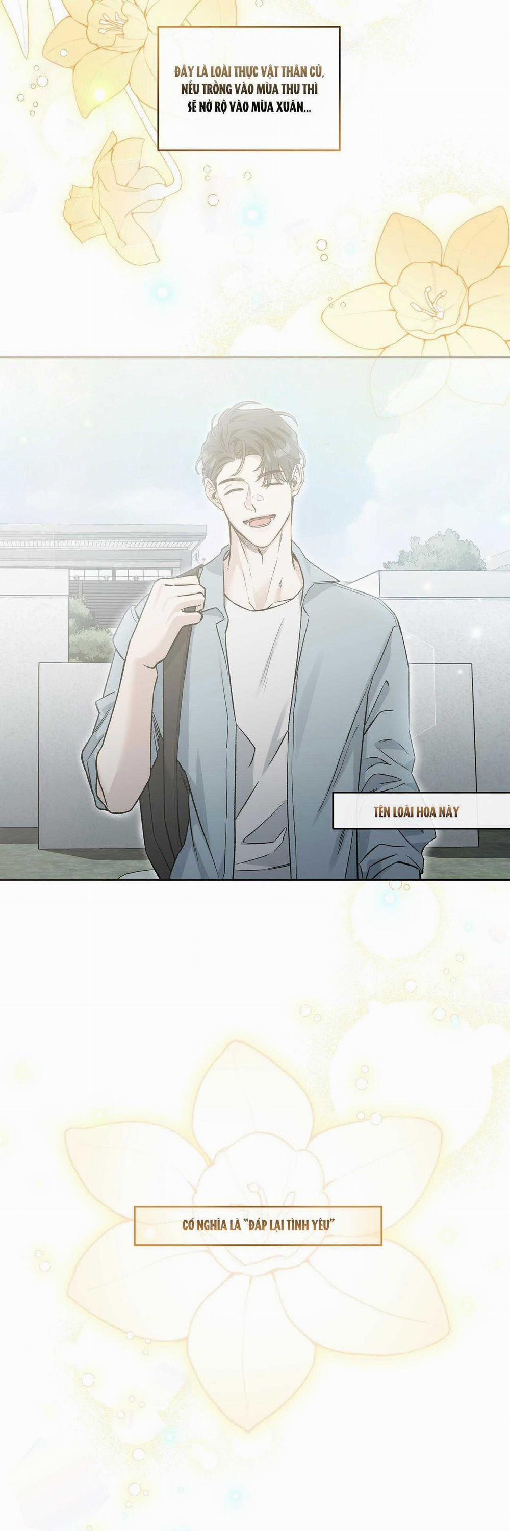 Dưới Lục Địa Xanh 9 trang 38