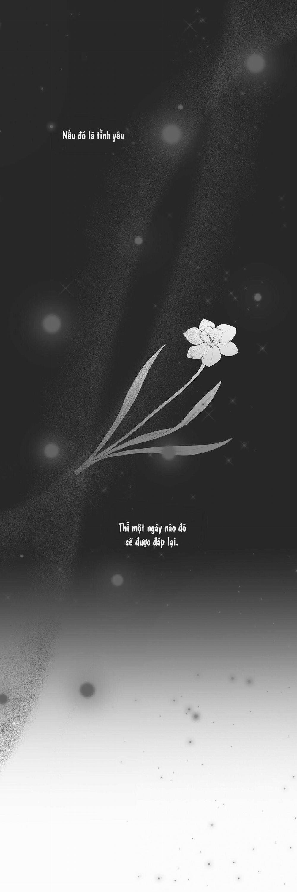 Dưới Lục Địa Xanh 9 trang 44