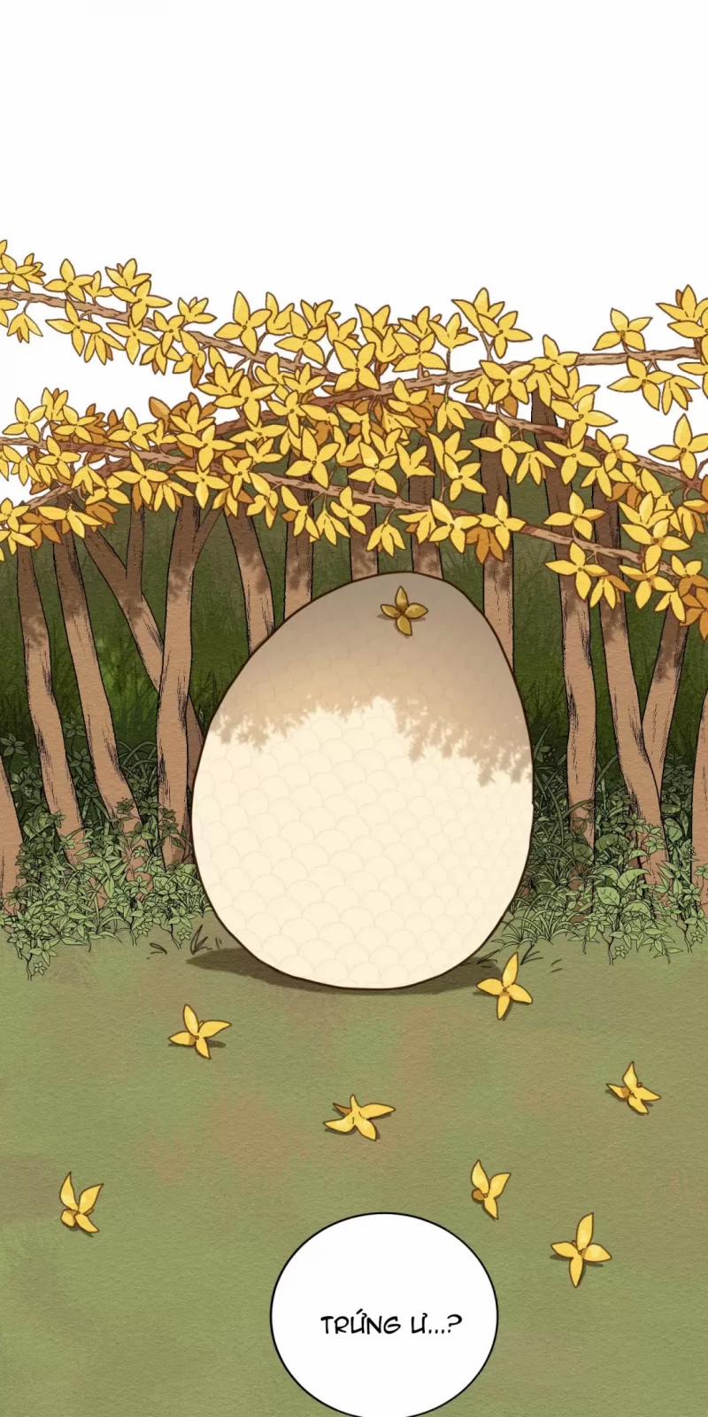 Dưới Tán Hoa Liên Kiều 1.5 trang 0