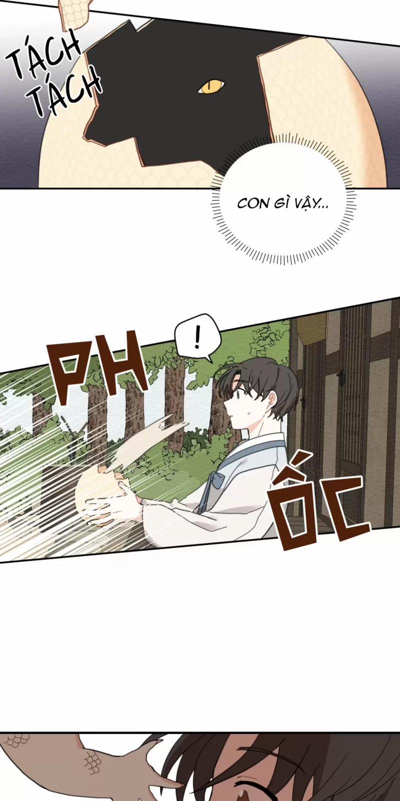 Dưới Tán Hoa Liên Kiều 1.5 trang 13