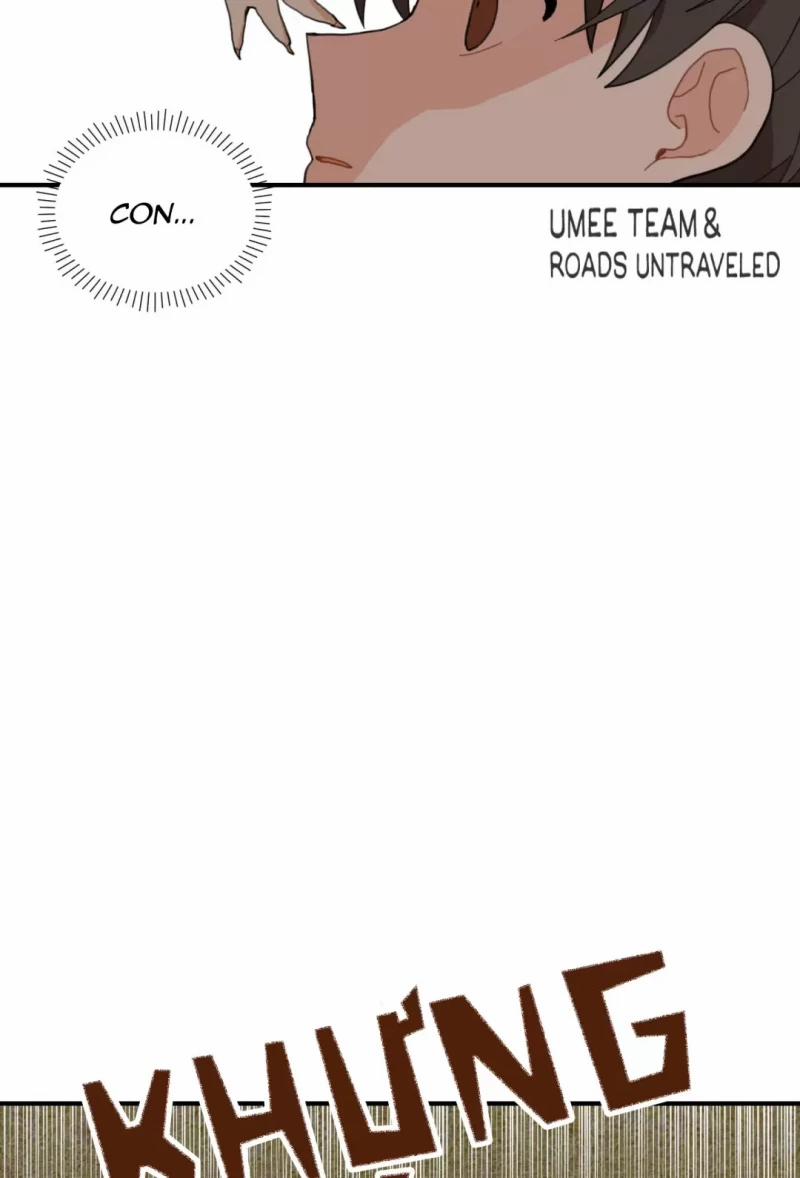 Dưới Tán Hoa Liên Kiều 1.5 trang 14