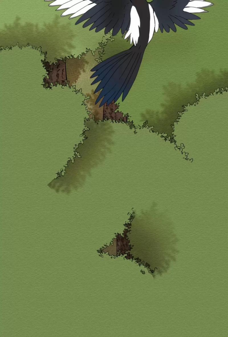 Dưới Tán Hoa Liên Kiều 1.5 trang 6