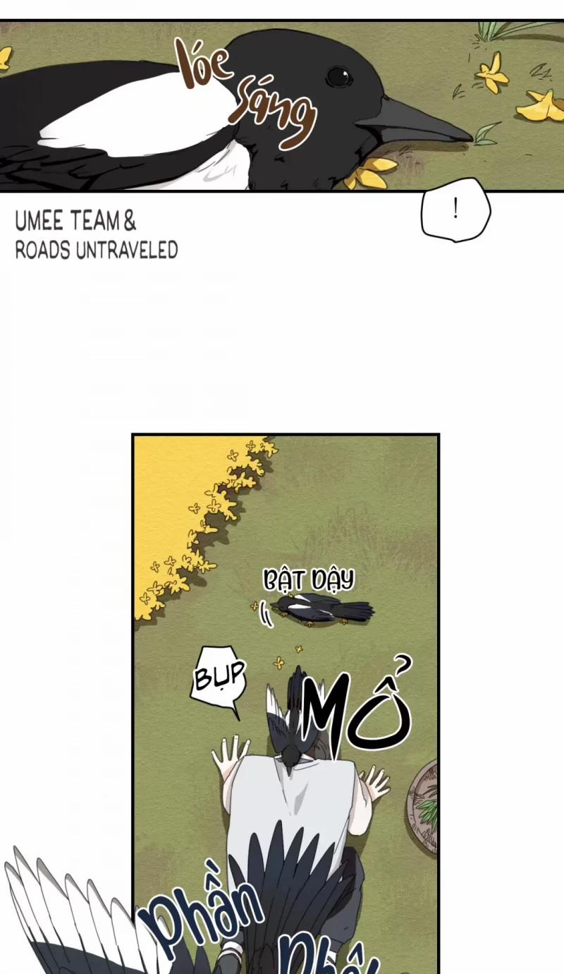 Dưới Tán Hoa Liên Kiều 1 trang 23