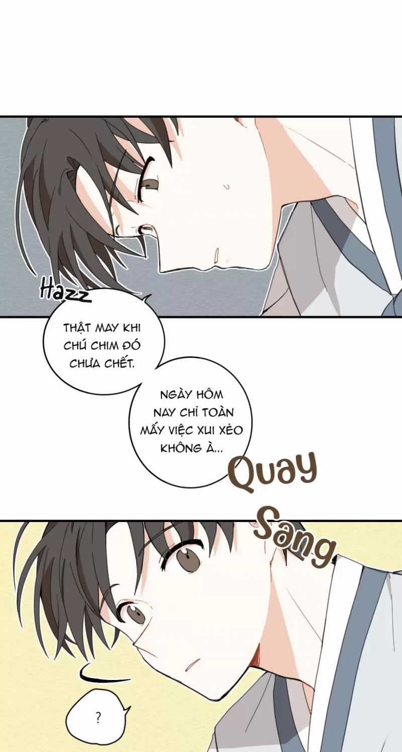 Dưới Tán Hoa Liên Kiều 1 trang 25