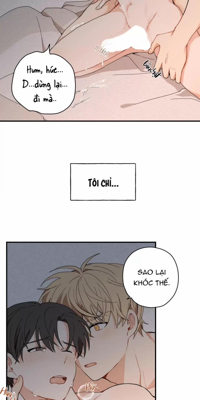 Dưới Tán Hoa Liên Kiều 1 trang 3