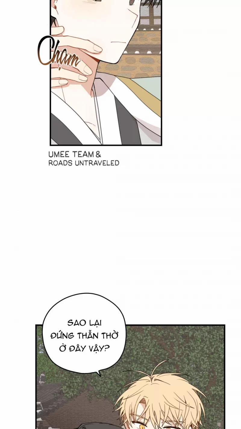 Dưới Tán Hoa Liên Kiều 10.5 trang 12