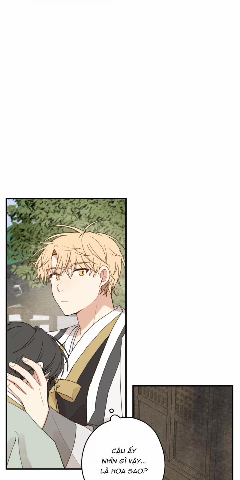 Dưới Tán Hoa Liên Kiều 10.5 trang 24