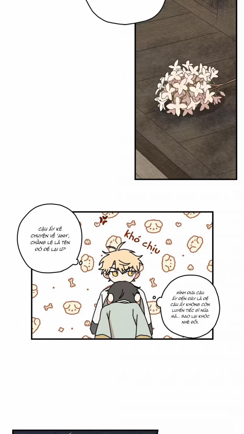 Dưới Tán Hoa Liên Kiều 10.5 trang 25