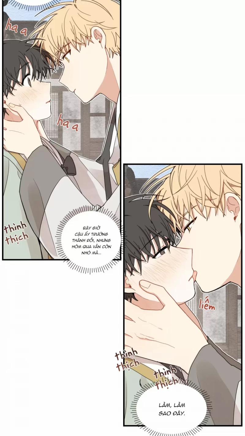 Dưới Tán Hoa Liên Kiều 10.5 trang 31