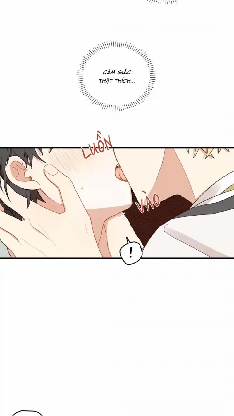 Dưới Tán Hoa Liên Kiều 10.5 trang 32