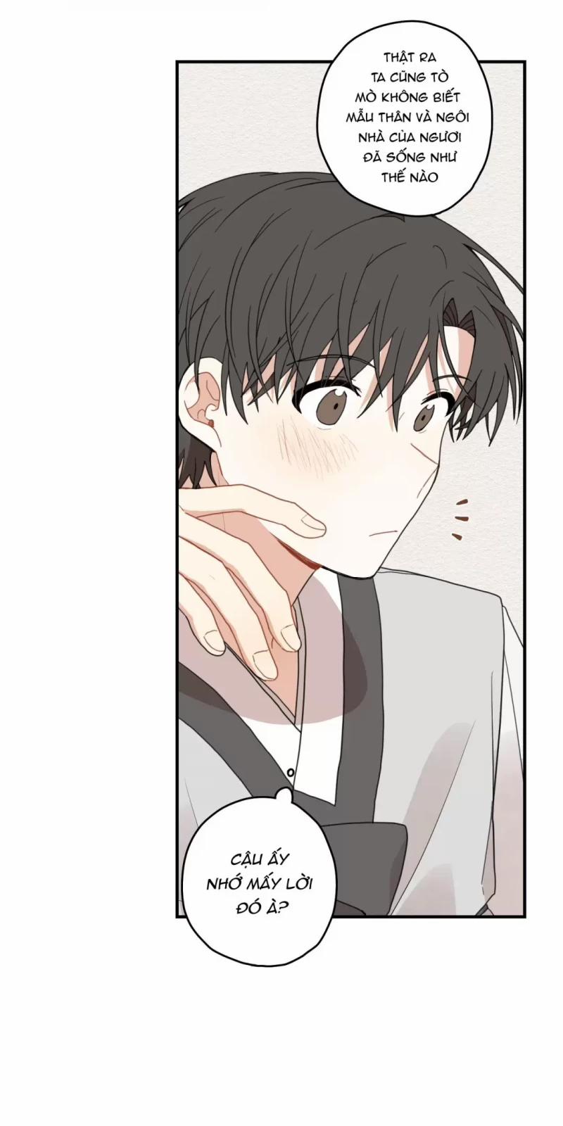 Dưới Tán Hoa Liên Kiều 10 trang 13