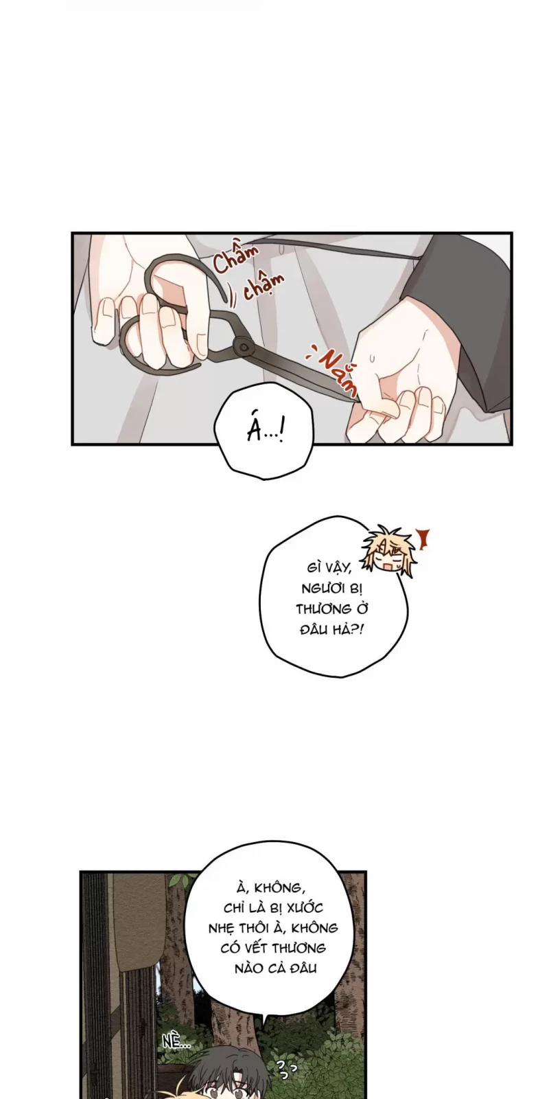 Dưới Tán Hoa Liên Kiều 10 trang 23