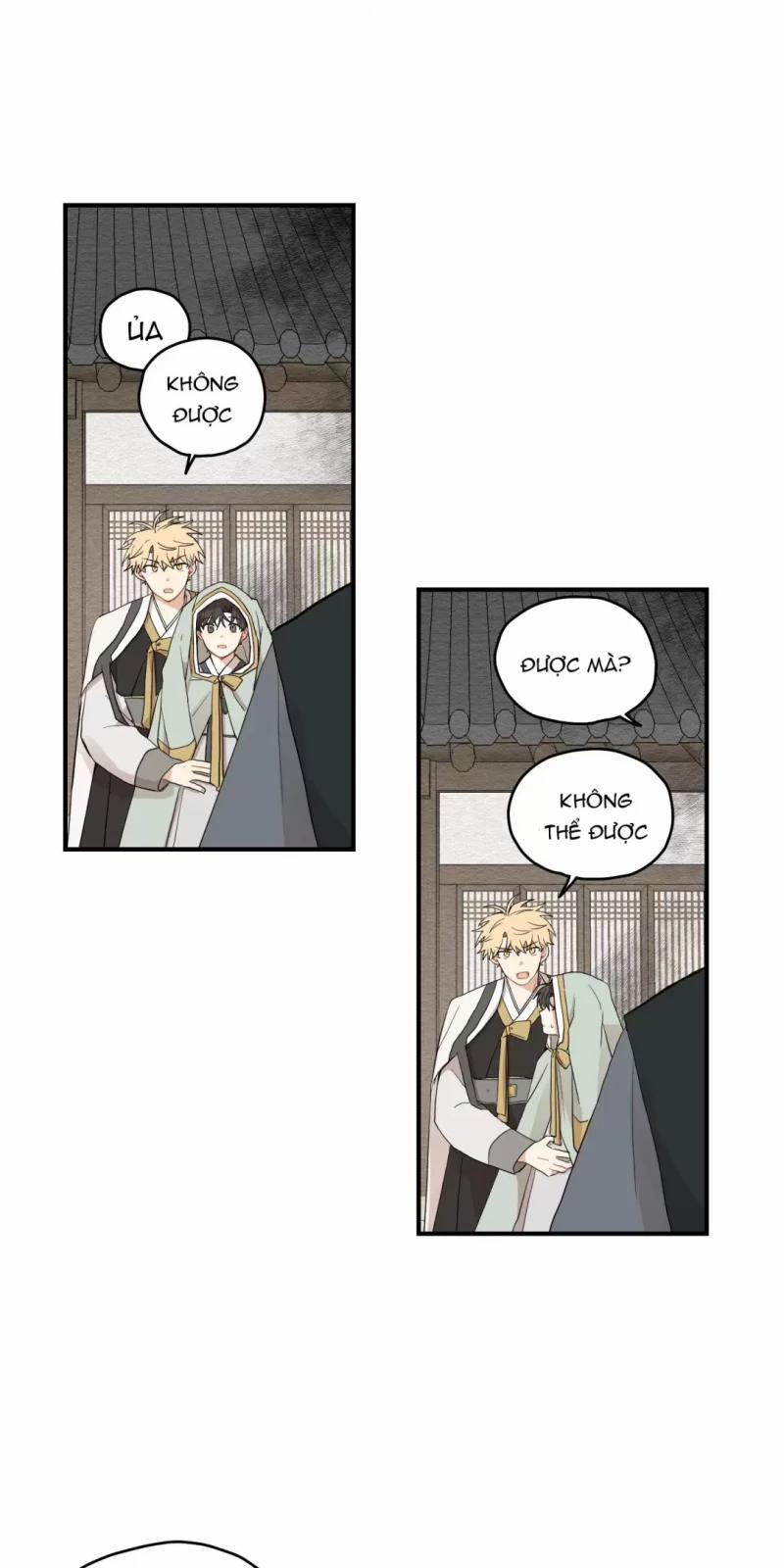 Dưới Tán Hoa Liên Kiều 11.5 trang 0