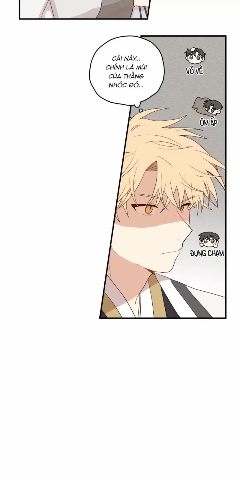 Dưới Tán Hoa Liên Kiều 11.5 trang 19