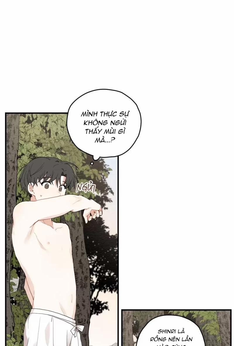 Dưới Tán Hoa Liên Kiều 11.5 trang 21