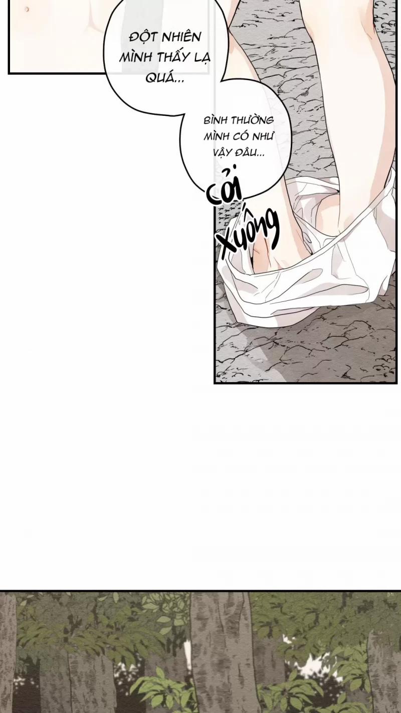 Dưới Tán Hoa Liên Kiều 11.5 trang 25