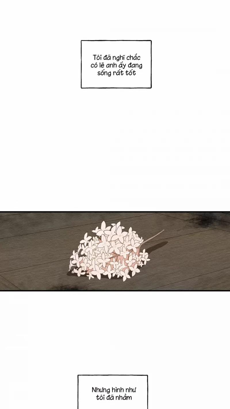 Dưới Tán Hoa Liên Kiều 11 trang 17