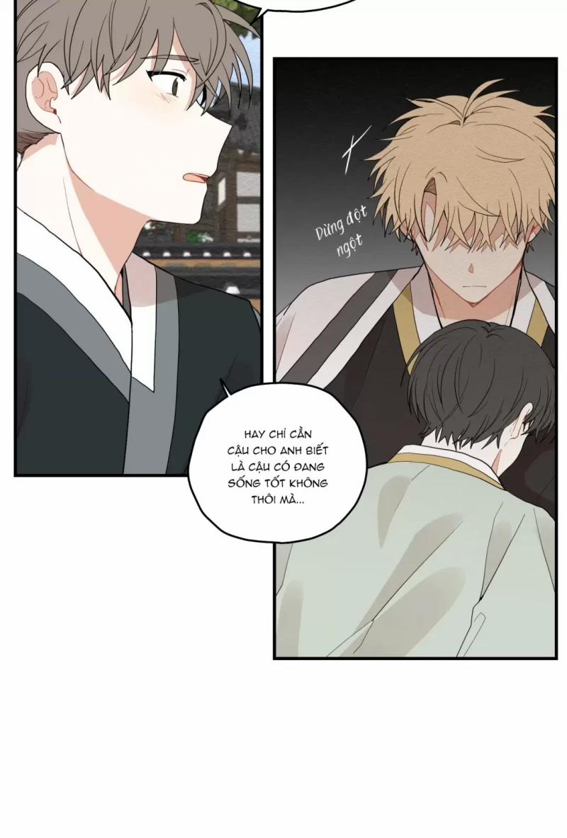 Dưới Tán Hoa Liên Kiều 11 trang 6