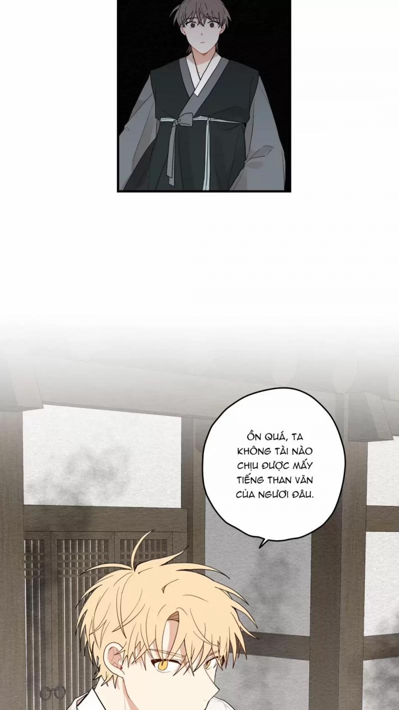 Dưới Tán Hoa Liên Kiều 11 trang 8