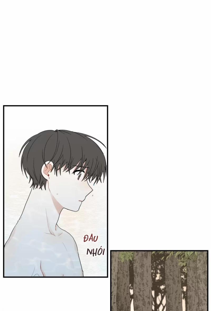 Dưới Tán Hoa Liên Kiều 12.5 trang 0