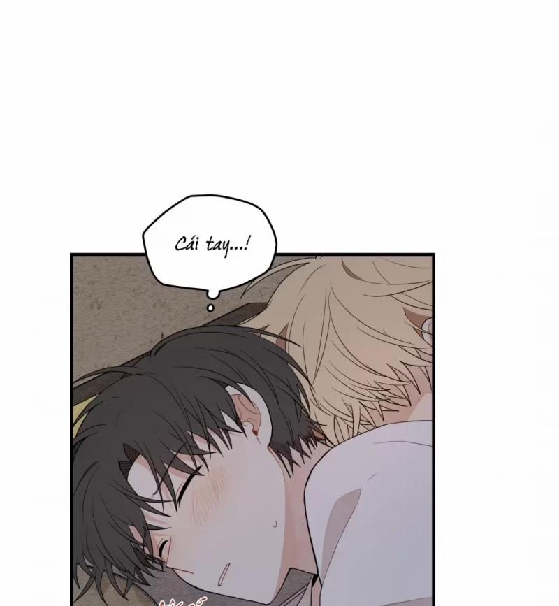 Dưới Tán Hoa Liên Kiều 12.5 trang 14