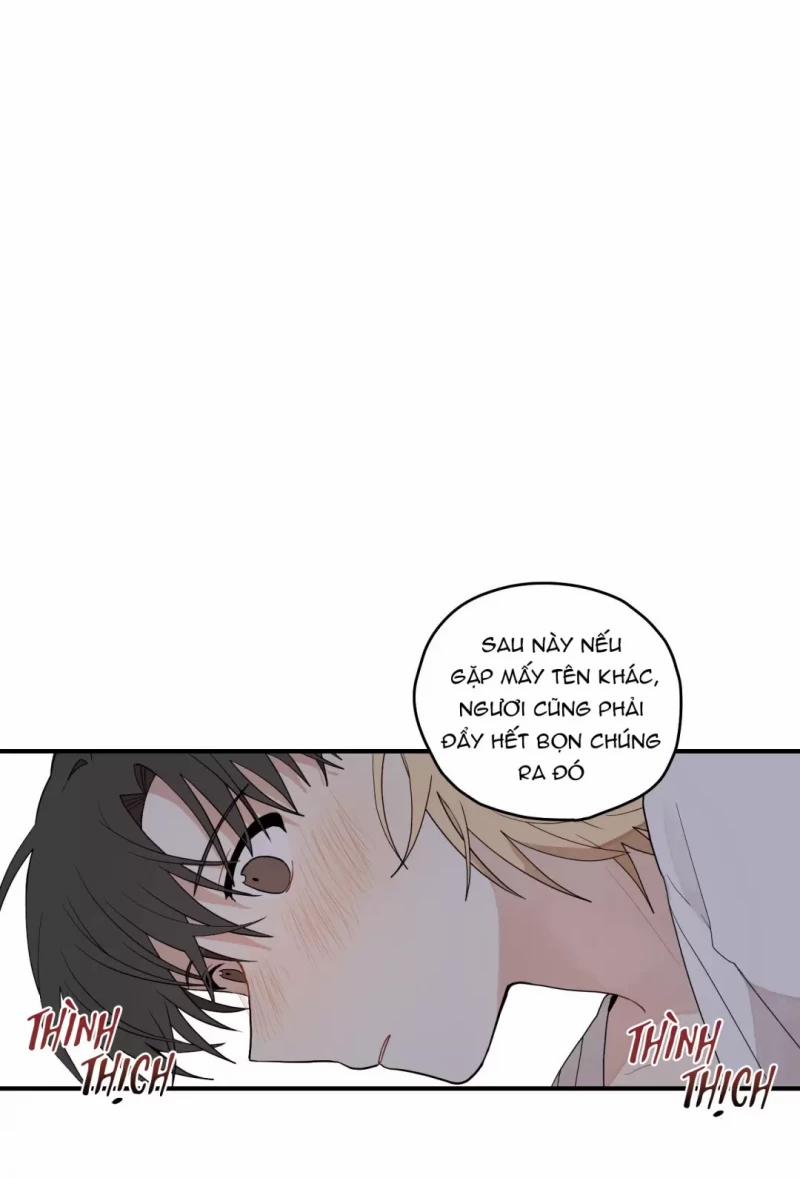 Dưới Tán Hoa Liên Kiều 12.5 trang 19