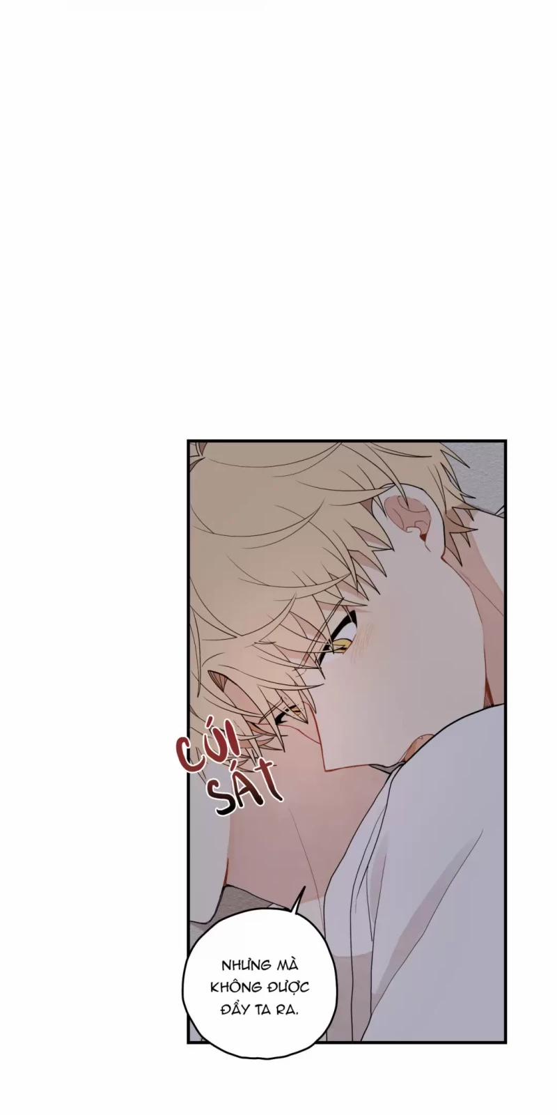 Dưới Tán Hoa Liên Kiều 12.5 trang 20