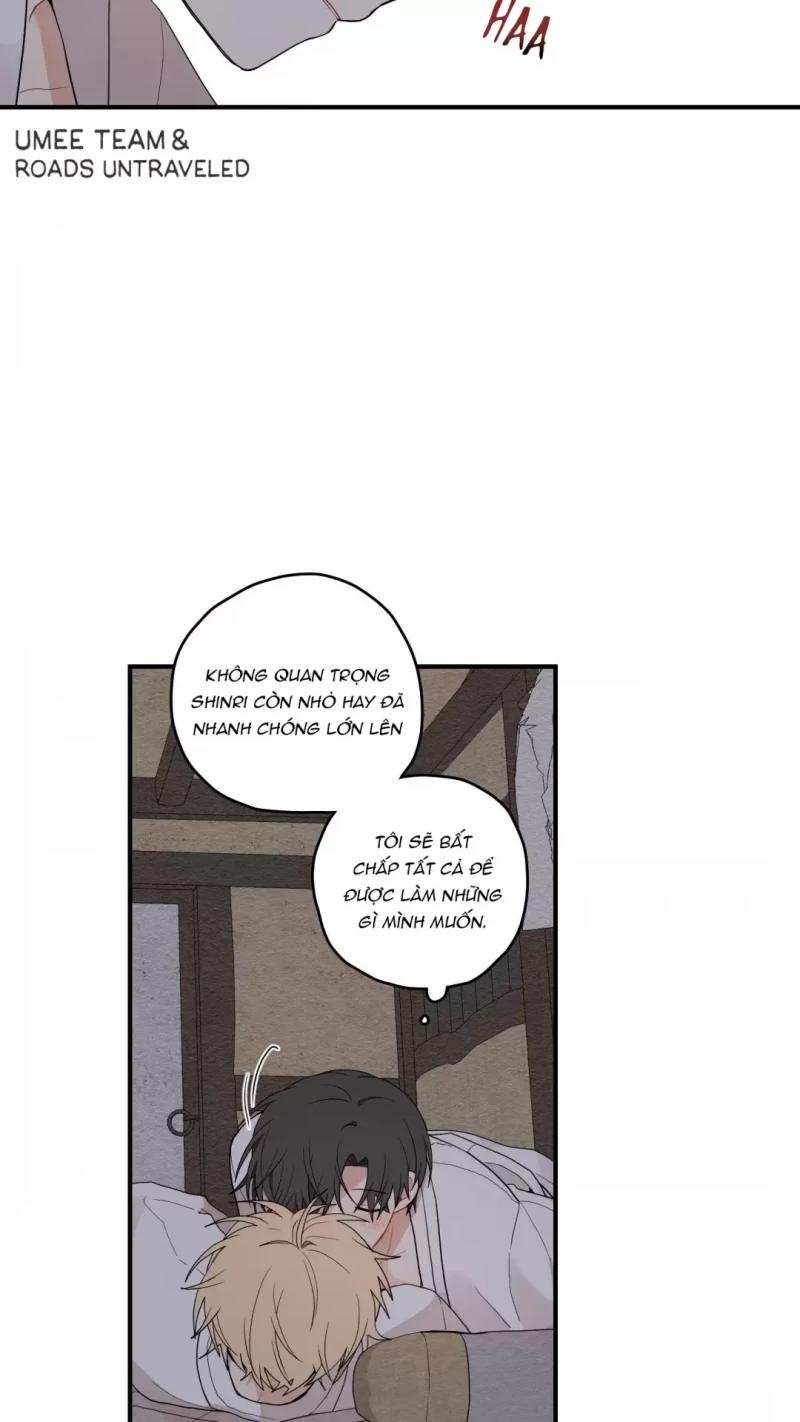 Dưới Tán Hoa Liên Kiều 12.5 trang 25