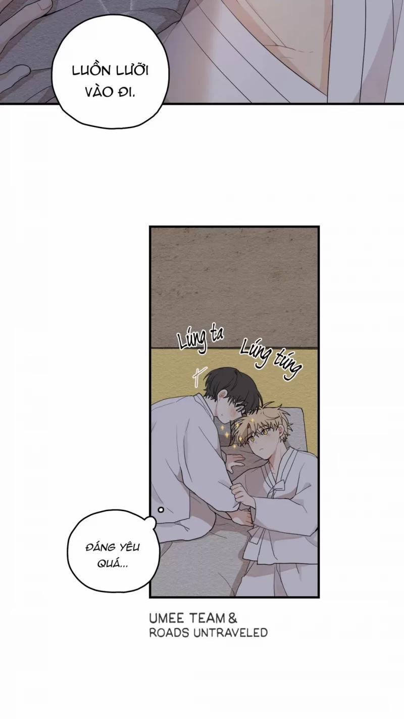 Dưới Tán Hoa Liên Kiều 12.5 trang 28